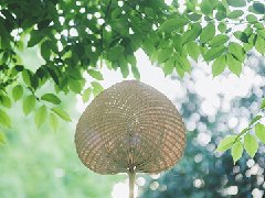 夏至來(lái)臨，最熱模式即將開(kāi)啟，你準(zhǔn)備好了嗎？