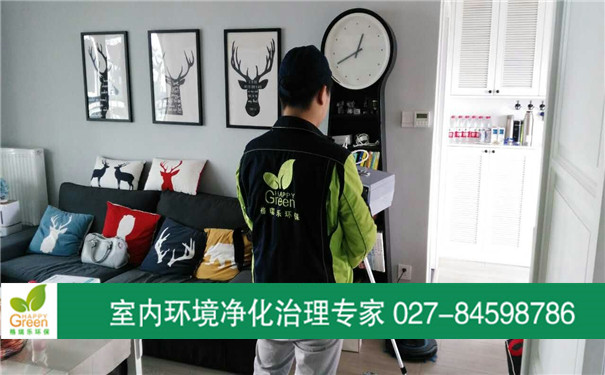 武漢室內空氣檢測 武漢甲醛檢測 武漢除甲醛 漢陽除甲醛 漢陽甲醛檢測