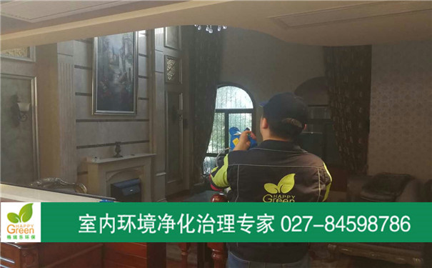 武漢除甲醛 漢陽除甲醛 武漢甲醛檢測 漢陽甲醛檢測