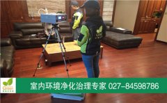 武漢洪山區(qū)聯(lián)投花山郡香頌室內(nèi)空氣檢測