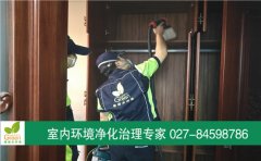 漢陽(yáng)區(qū)王家灣中央生活區(qū)新房甲醛治理