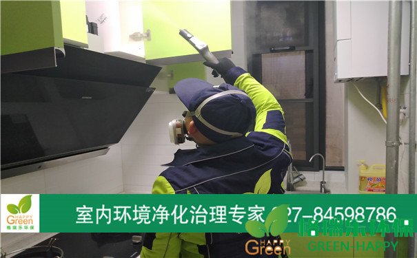甲醛治理，甲醛污染，格瑞樂，武漢除甲醛，江岸區(qū)地鐵鑫城