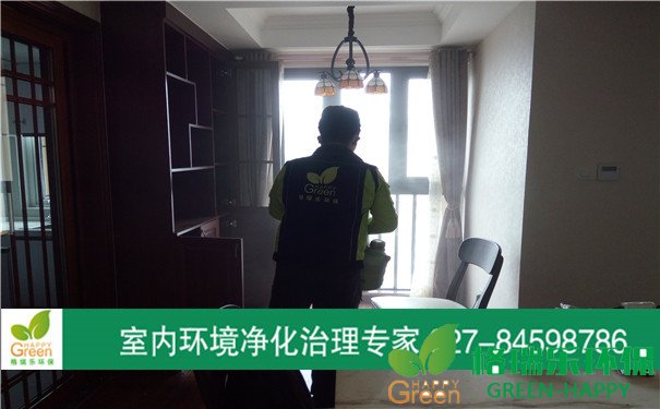 甲醛治理，甲醛污染，格瑞樂(lè)，武漢除甲醛，漢陽(yáng)綠地中央廣場(chǎng)