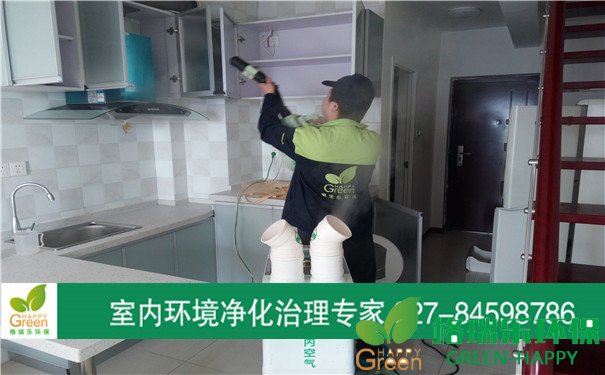 甲醛治理，甲醛污染，格瑞樂(lè)，武漢除甲醛，漢口天下晶立方