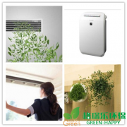 如何去除新房甲醛？