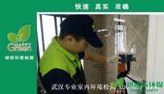 武漢水墨江郡新房甲醛檢測