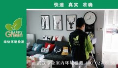 武漢市江夏區(qū)中建湯遜湖壹號新房甲醛檢測