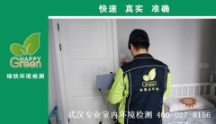 武漢市江夏區(qū)儷湖天地新房甲醛檢測