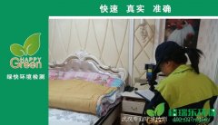 蔡甸城投瀚城業(yè)主新房甲醛檢測(cè)