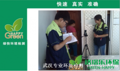 白沙洲南國(guó)都市業(yè)主新房甲醛檢測(cè)