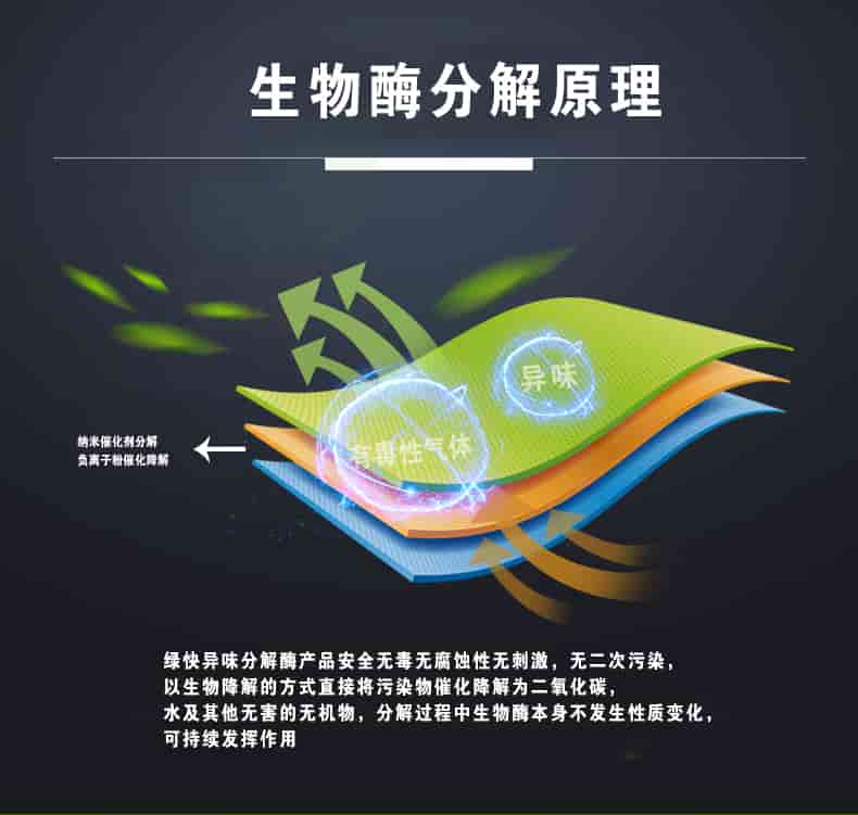 生物酶分解原理，綠快異味分解酶產(chǎn)品安全無毒無腐蝕性無刺激，無二次污染，以生物降解的方式直接將污染物催化降解為二氧化碳，水及其他無害的無機物，分解過程中生物酶本身不發(fā)生性質(zhì)變化，可持續(xù)發(fā)揮作用