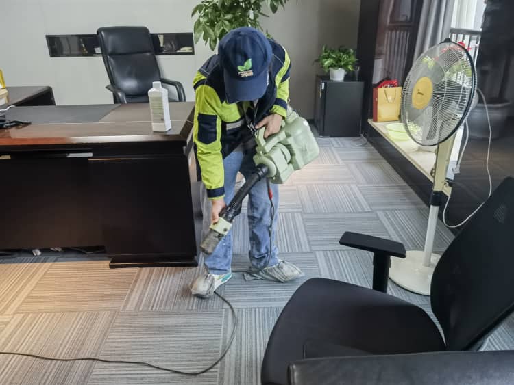 武漢除甲醛：4種常見招兒靠譜嗎？