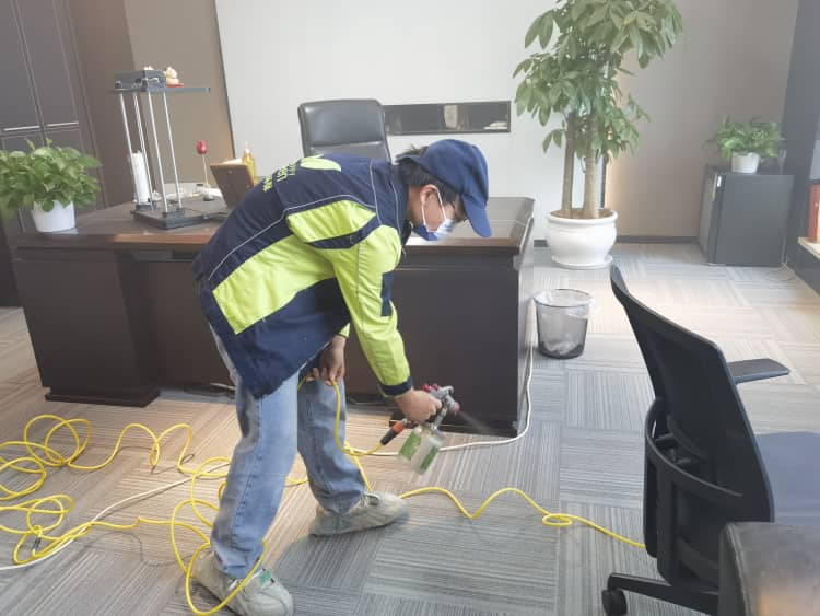 孫楊?yuàn)Z冠靠實(shí)力！武漢格瑞樂(lè)除醛亦如此